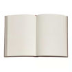 Picture of PAPERBLANKS MIDI LINED LAWRENCE ALMA-TADEMA SPRING NOTEBOOK